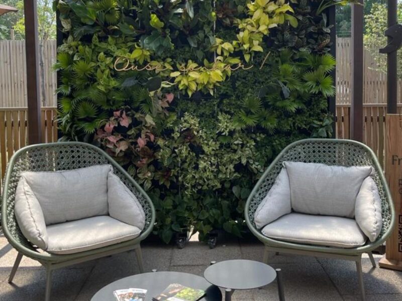 Móveis externos de alto padrão - cadeira em madeira e corda náutica